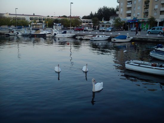 Slika