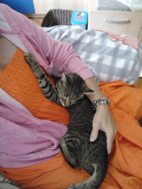 Slika