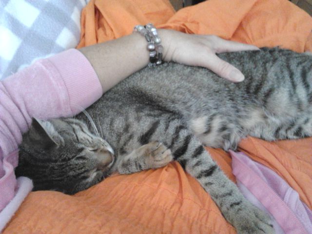Slika