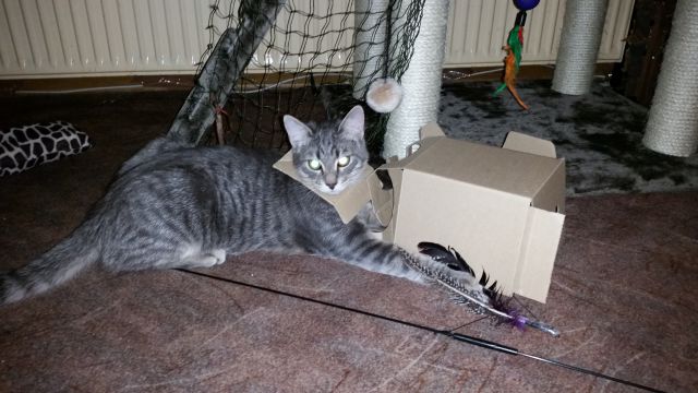 Slika