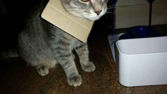 Slika