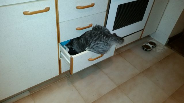 Slika