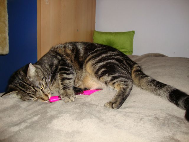 Slika