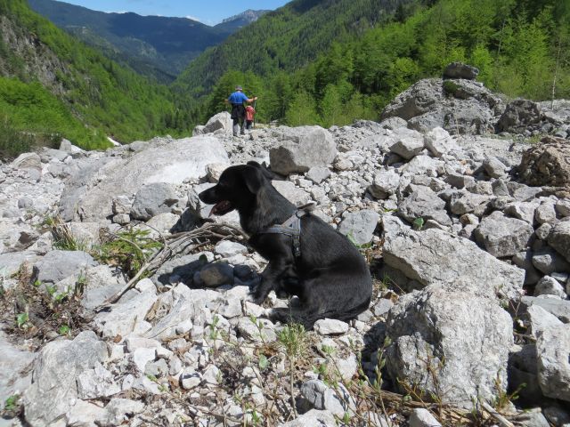 Slika