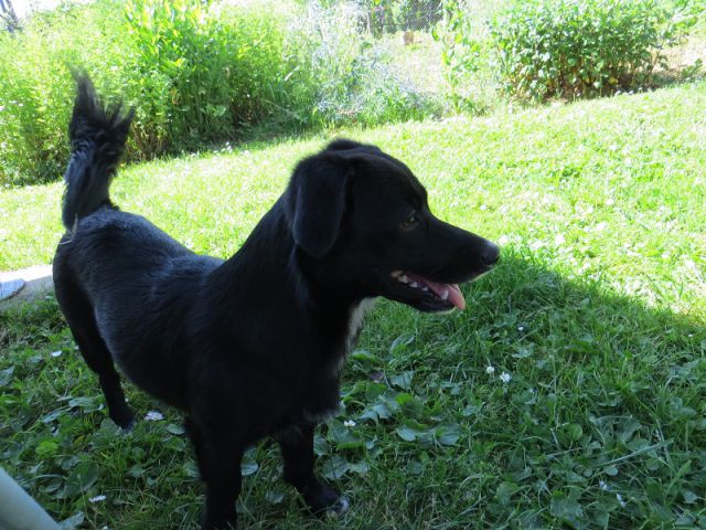 Slika