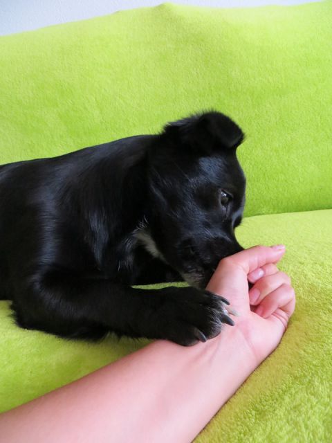 Slika