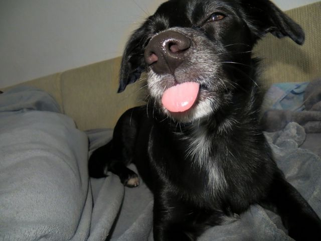 Slika