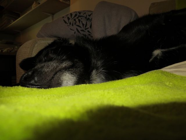Slika
