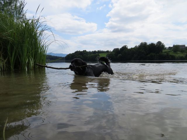 Slika