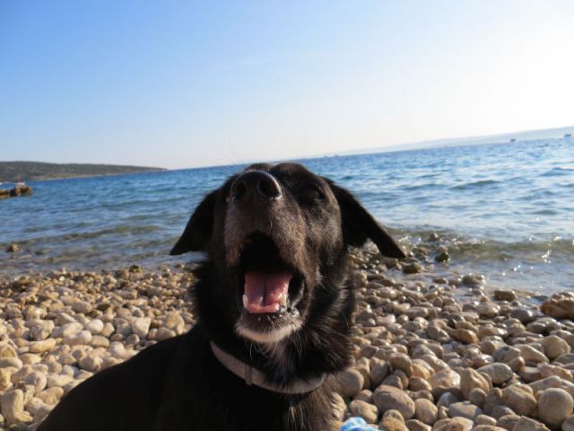 Slika