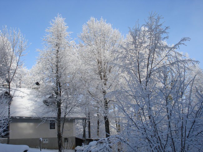 Narava - foto povečava