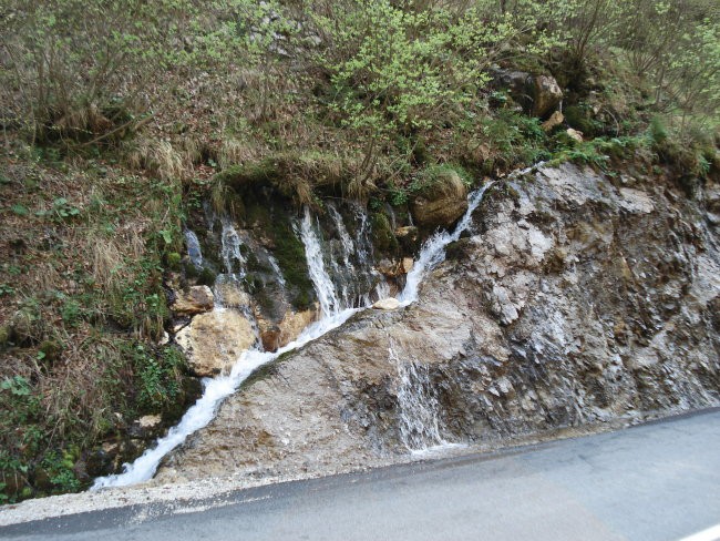 Slike - foto povečava