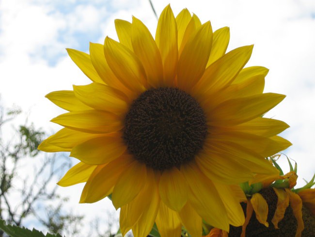 marja15@gmail.com

delam tudi po naročilu