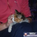 z Urško zvečer pred TV-jem