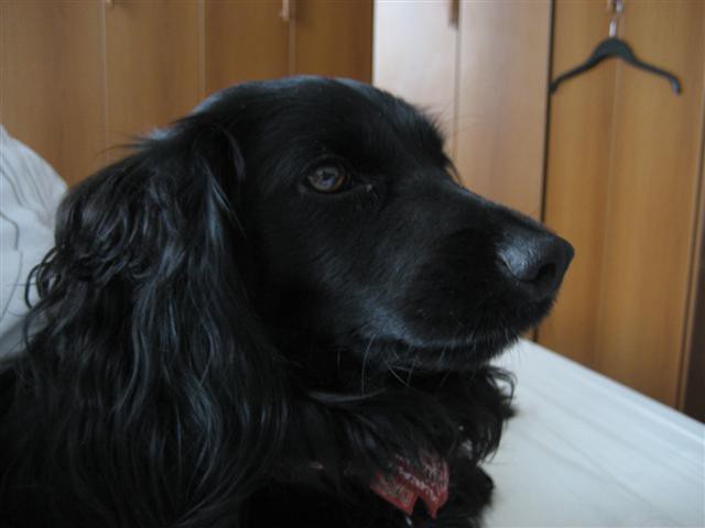 Moj profil :)