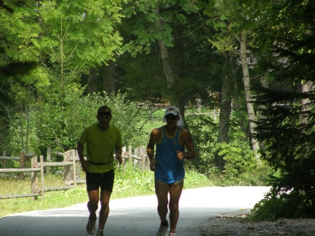 Logarska_Odon_2008 - foto povečava