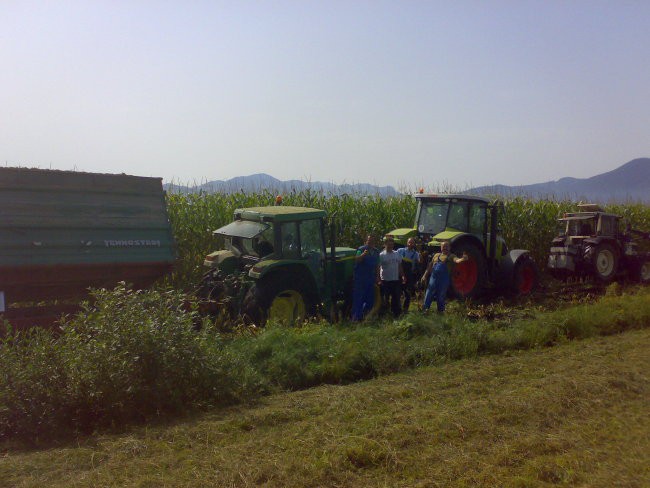 Silaža - foto povečava