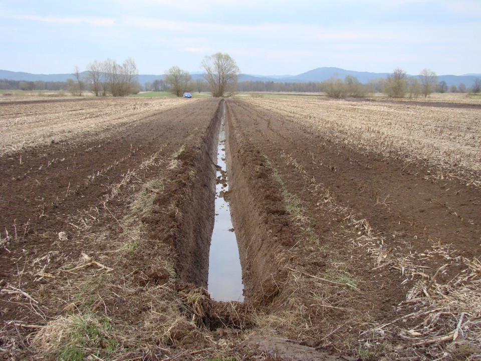 Kopanje jarkov - foto povečava