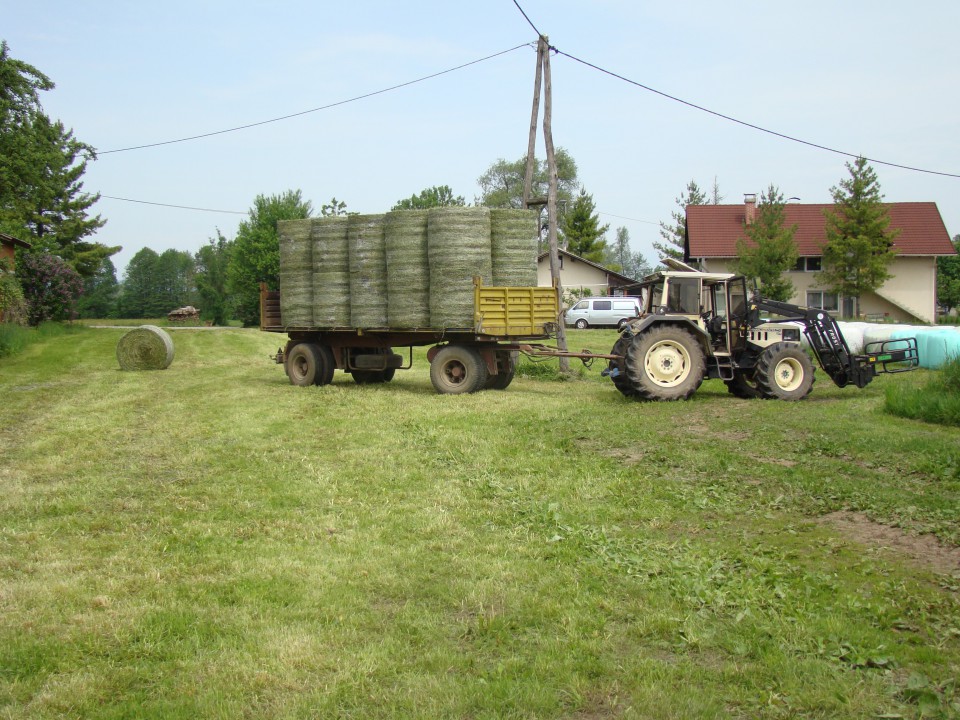 Košnja 2009 - foto povečava