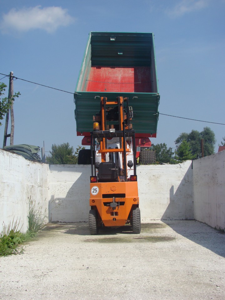 žetev 2009 - foto povečava