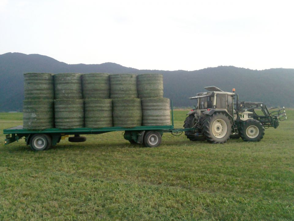 Košnja 2011 - foto povečava