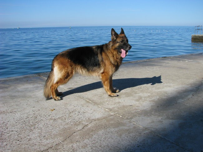 Aša rada pozira.