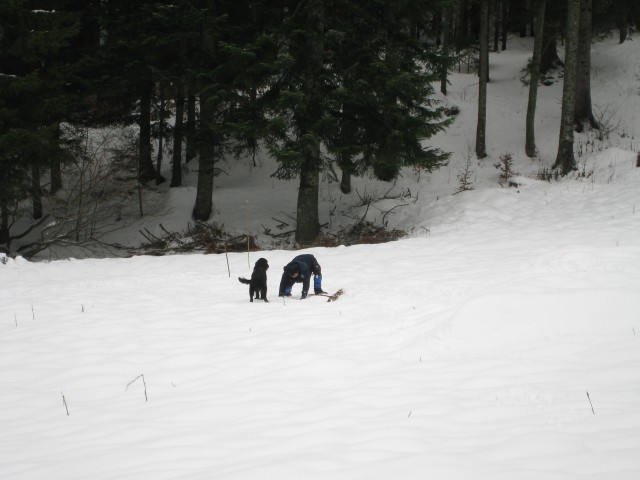 Storžič - foto