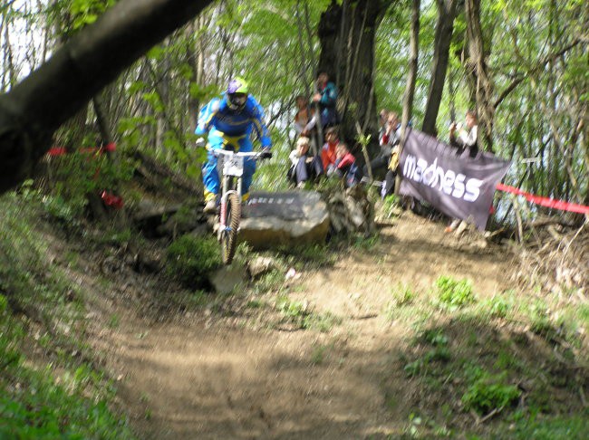 Dh avce 2008 - foto povečava