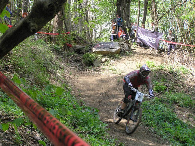 Dh avce 2008 - foto povečava