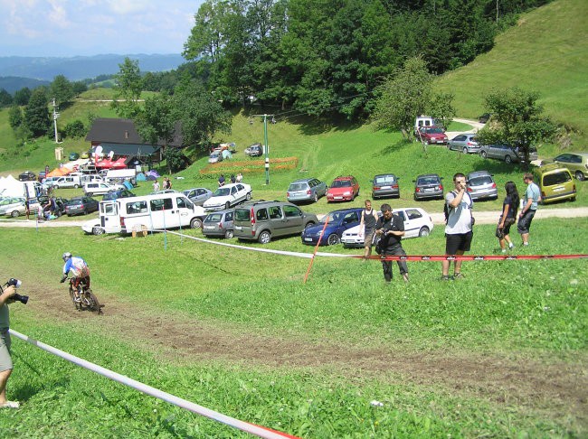 Dh javornik - foto povečava