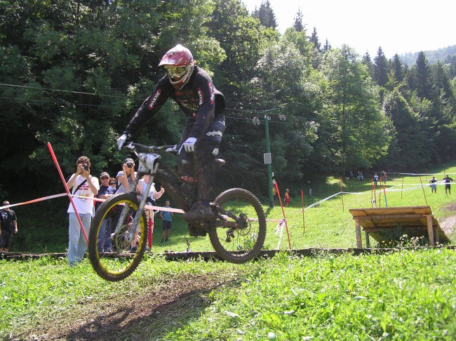 Dh javornik - foto povečava