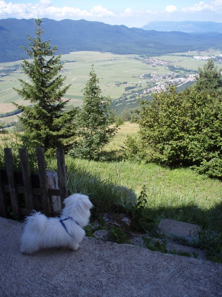 Prvič na Slivnici...ah..kako lep razgled..oh tam pa je ena čarovnica :D