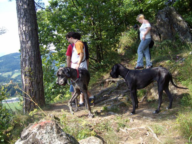 Tiga in Gadjo - foto povečava