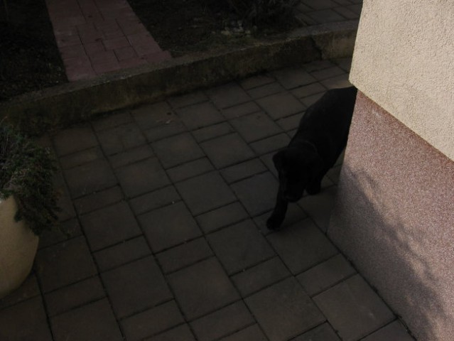 Hitro, hitro kr me lulat mudi...