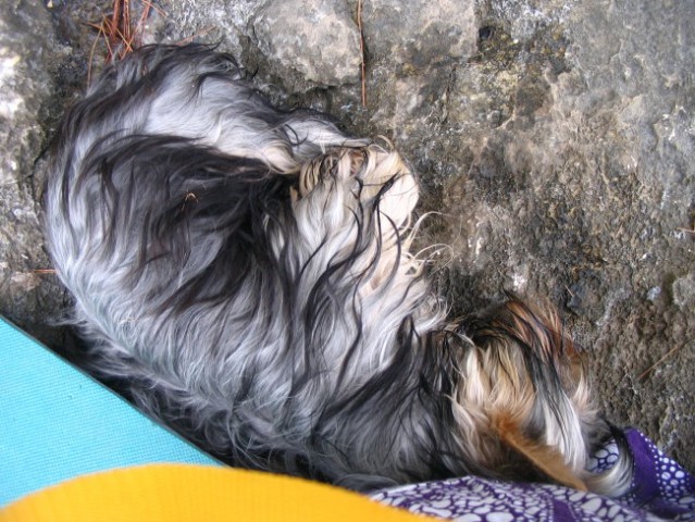 Morje 2008 - foto