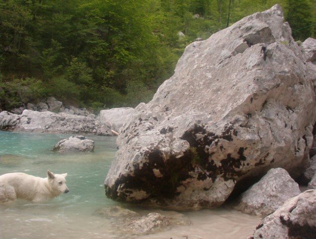 Maj 2006 Soča - foto