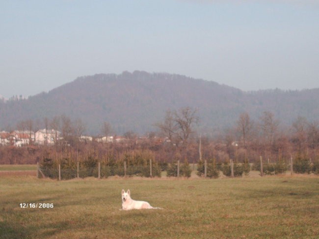 odlaganje (čakanje na prostoru)