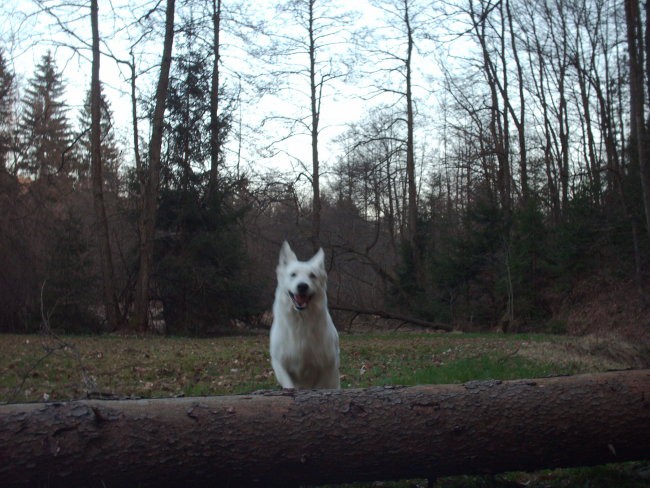 Se en sprehod :D - foto povečava