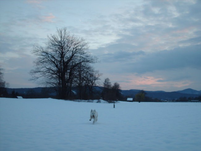 Marec 2007 - foto povečava