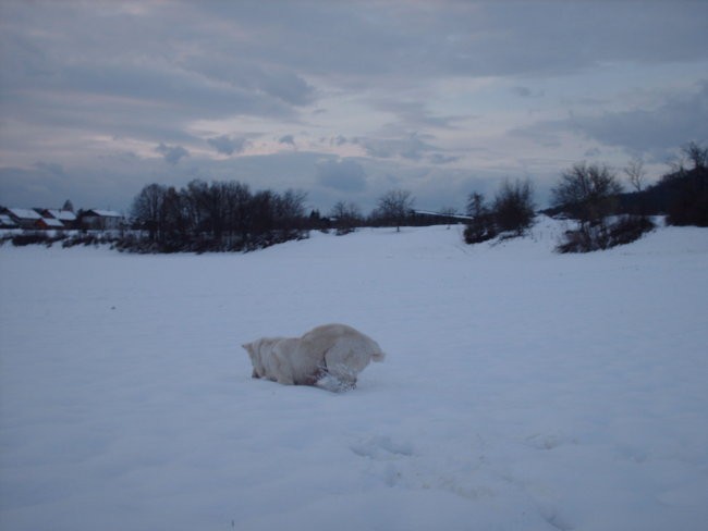 Marec 2007 - foto povečava