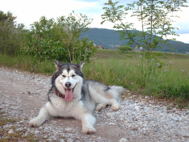 Aska in Kana, 6.5.2007 - foto povečava