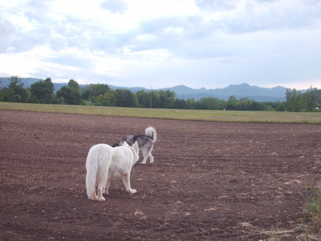 Aska in Kana, 6.5.2007 - foto povečava