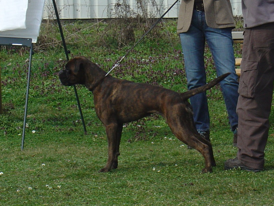 Athena - foto povečava