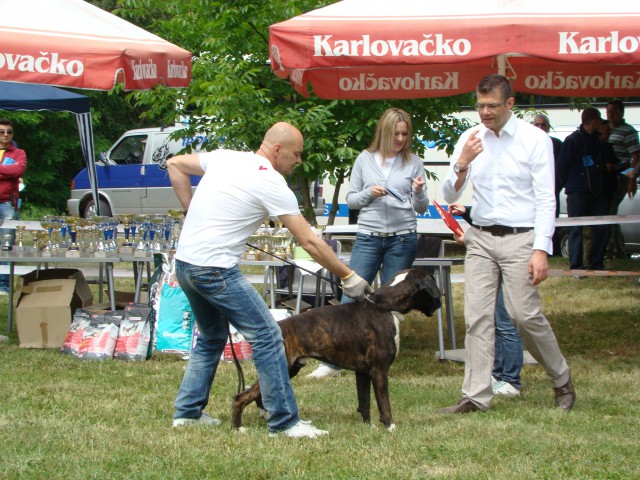 Specialka Zagreb 31.05.2009 - foto