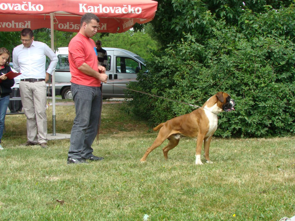 Specialka Zagreb 31.05.2009 - foto povečava