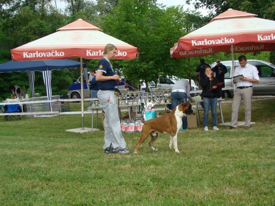 Specialka Zagreb 31.05.2009 - foto povečava