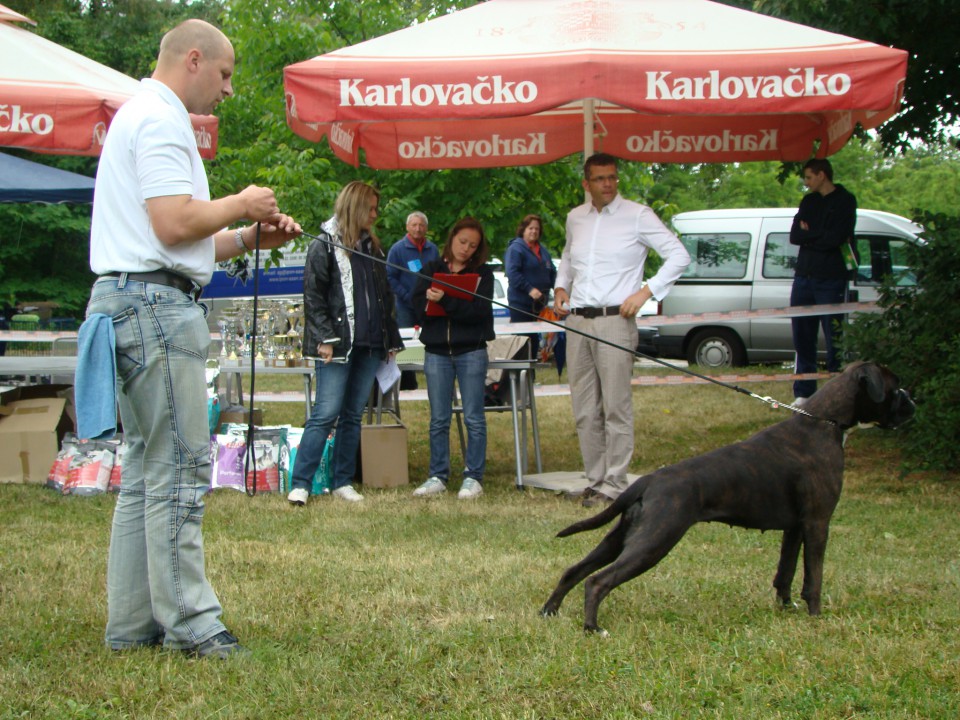 Specialka Zagreb 31.05.2009 - foto povečava