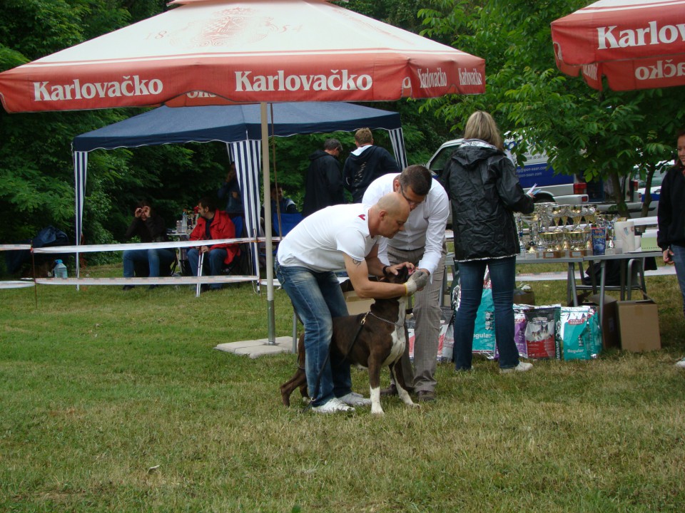 Specialka Zagreb 31.05.2009 - foto povečava