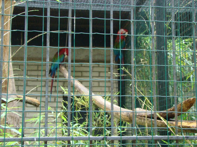 Živalski vrt, 07.06.09 - foto