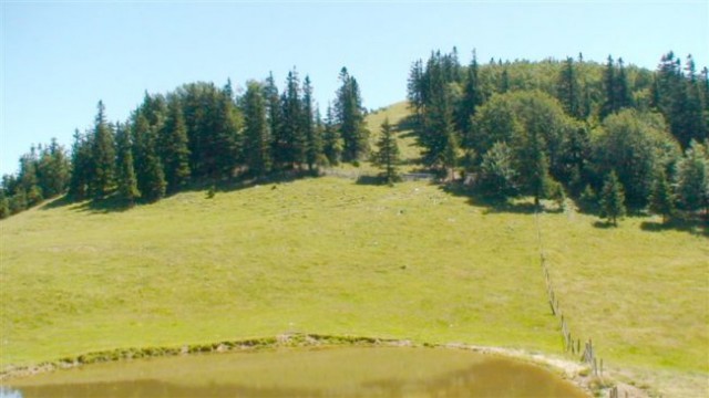 Zg.Okrog-Biba-Šavnice(Goli vrh)-Dom na Menini - foto